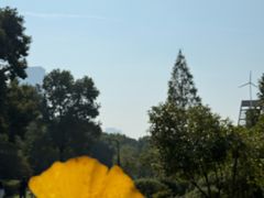 -艾溪湖湿地公园