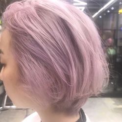 -SALON V
