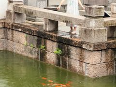 -金庸书院