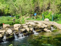 -白水寺森林公园
