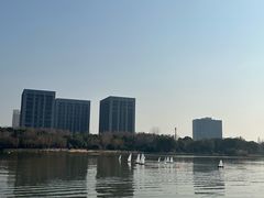 -南翔镇银翔湖公园