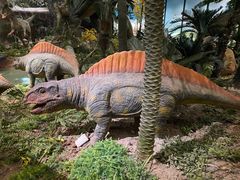 -湖南省地质博物馆