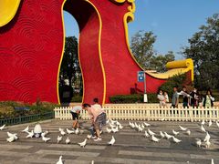 -合肥融创乐园