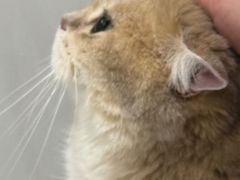 -FAELING PETS美天灵宠物(富力广场店)