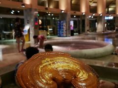 -汉拿山温泉度假酒店