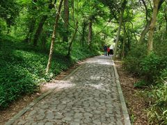 -大蜀山国家森林公园