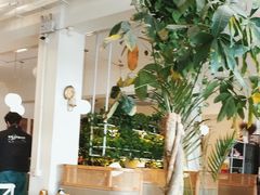 -岳姥姥饺子(泺文路店)