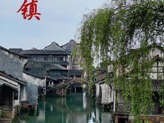 -乌镇西栅景区