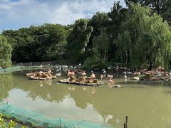 -宁波野生动物园
