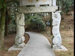 -四明山国家森林公园