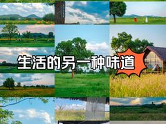 -良渚古城遗址公园