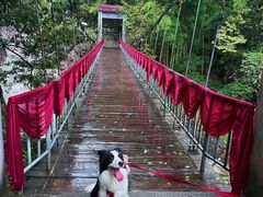 -黄山翡翠谷景区