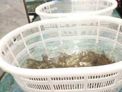 -鼓歌海鲜舫·手抓海鲜(大学城店)