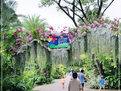 -新加坡飞禽公园