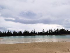 -东郊椰林