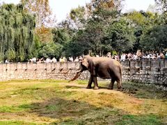 -西安秦岭野生动物园