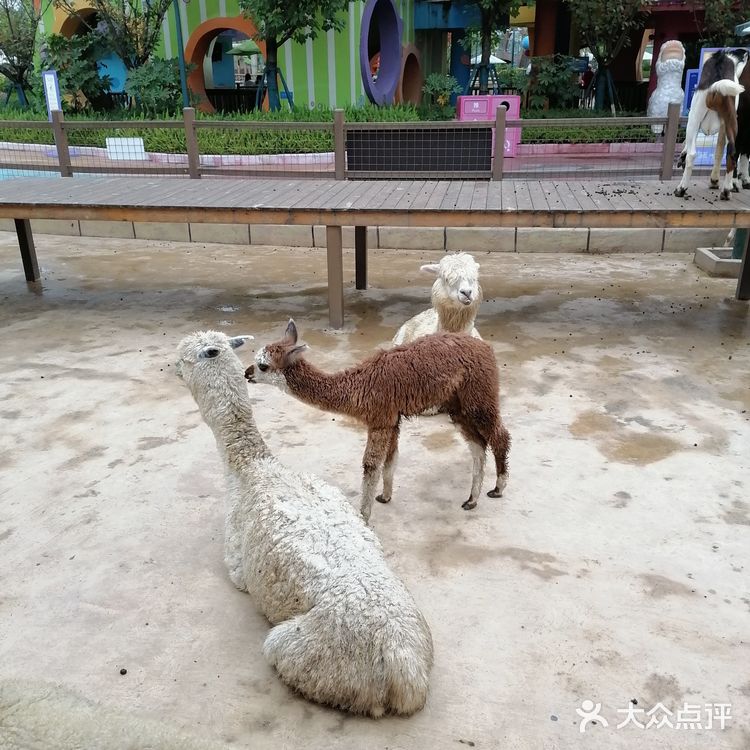 节前游玩—融创乐园