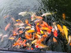 -珠海圆明新园