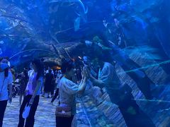 -华夏文旅海洋公园