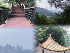-深圳市中科院仙湖植物园