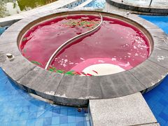 -扬州瘦西湖温泉
