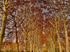 -河南省黄河迎宾馆