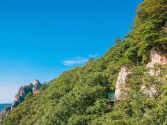 -老界岭旅游度假区