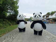 -苏州太湖国家湿地公园