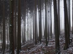 -山王坪喀斯特国家生态公园