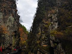 -茅兰沟国家森林公园
