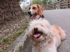 -白鹭湾湿地公园