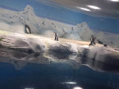 -苏州海洋馆