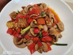 -乐和餐饮(活力源店)