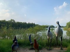 -苏州太湖国家湿地公园