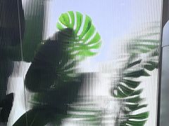 -WEGYMER健萌健身(雅颂居馆)