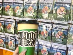 -吉林市朱雀山国家森林公园