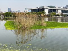 -月湖风景区