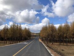 -塞罕坝国家级自然保护区