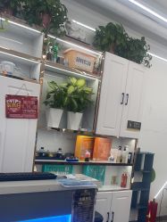 -茗梵谷造型