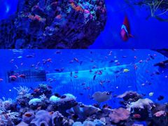 -多彩贵州城极地海洋世界