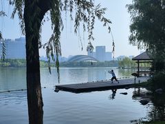 -天鹅湖体育公园