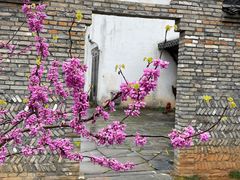 -婺源梦里老家大型山水实景演出