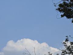-四川大学(望江校区)