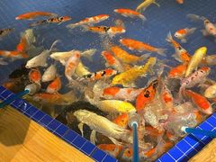 -昆明大悦城未来动物城(螺蛳湾中心店)