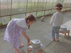 -前小桔亲子创意农场·草莓采摘·露营烧烤