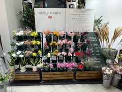 -优衣库(银座店)