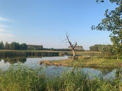 -蒲河岛湿地公园