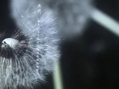 -中国美术学院象山校区-民艺博物馆