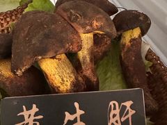 -爱膳菌锅锅(阳南店)