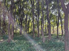-黄兴公园